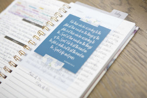 clear-snap-in-dashboard-for-bible-study-journals